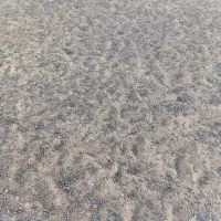 کودگوسفندی|خدمات باغبانی و درختکاری|اشتهارد, |دیوار