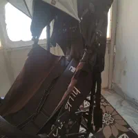 کالسکه مدل عصایی سالم|کالسکه و لوازم جانبی|همدان, |دیوار