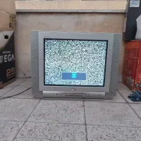 تلوزیون