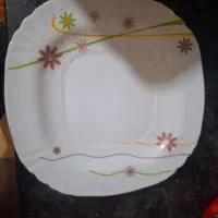آرکوپال سیلویا خارجی