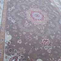 یک جفت ۱۲ متری  کرم گردویی ۵۰۰ شانه