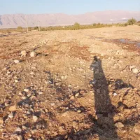 زمین|اجارهٔ دفتر صنعتی، کشاورزی، تجاری|کوار, |دیوار