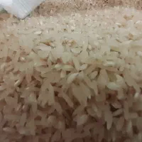 برنج فجر