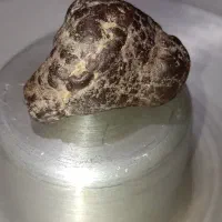 فروش فوری اصل