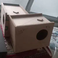 دو عدد لانه طوطی برزیلی