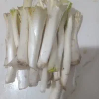 کنگرتازه بدون نیازبه پاک کردن ۹۰۰۰۰