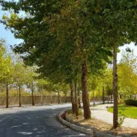 فروشنده لباس