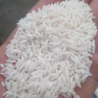 برنج کاظمی