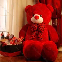 خرس قرمز نو