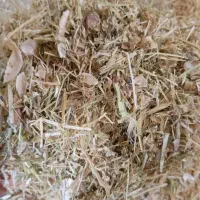 کاه لوبیا درجه یک