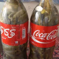 خیارشوربطری خانواده|عمده‌فروشی|لالجین, |دیوار