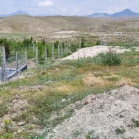 زمین باغی