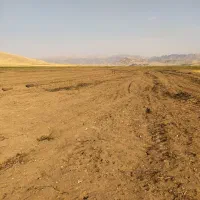 اجاره 14هکتار زمین کشاورزی سیستمی برای چغندرگندم|اجارهٔ دفتر صنعتی، کشاورزی، تجاری|سرپل ذهاب, |دیوار