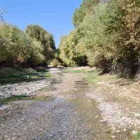 خانه باغ دو خابه|اجارهٔ کوتاهمدت ویلا و باغ|ایلام, |دیوار