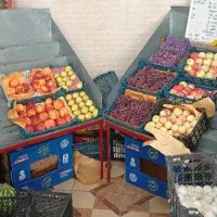 ممبری میوه فروشی و وسایل