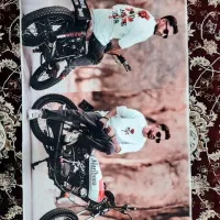 تابلو فرش      شاپرک|تابلو فرش|پرند, فاز ۱|دیوار