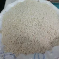 برنج طارم هاشمی درجه ۱