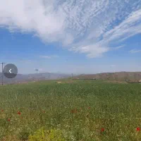 زمین ویلایی در نعمت الله صوفیان