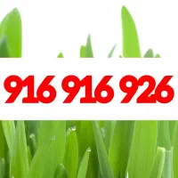 خط رند فوق‌العاده