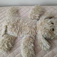 عروسک سگ|اسباب‌‌بازی|میانه, |دیوار