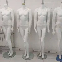 مانکن زنانه پویا ۱۰ عدد