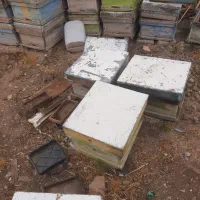 کندوی عسل خالی بدون شکستگی