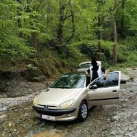 ۲۰۶  مدل ۸۲ رنگ بژ