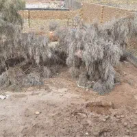 زمین-مسکونی