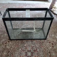 آکواریوم