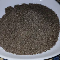 زیره کوهی قوچان