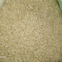 برنج چمپا دون دونی  چیتاب  کیلویی ۲۸۰