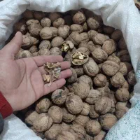 گردو کاغذی فوق اعلا درجه یک|خوردنی و آشامیدنی|ارشق, |دیوار