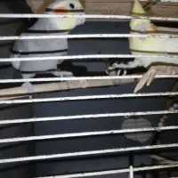 عروس پاریس رامهرمز