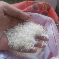 برنج پاکستانی رویال،زیرقیمت کل فروشی های تربت جام