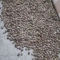 گردو|عمده‌فروشی|بروجرد, |دیوار