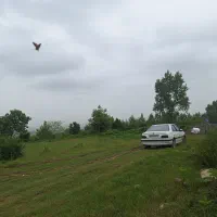 زمین مسکونی ویلائی دارای مرکبات