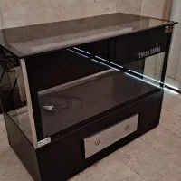 شوکیک در حد نو