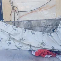 قفس پرون همراه پرنده