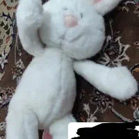 عروسک های زیبا|اسباببازی|بندر انزلی, استادیوم|دیوار