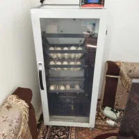 دستگاه جوجه کشی