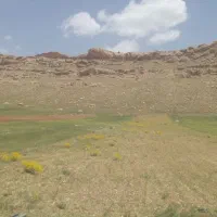 زمین زراعی دیم متراژ۴جریب