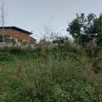 هزار متر کارخانه سوله