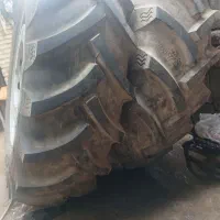 طایر