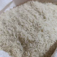 برنج شمال
