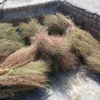 جارو محلی|لوازم نظافت|بروجرد, |دیوار