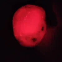 سنگ با ارزش|جواهرات|تهران, انبار نفت|دیوار