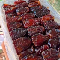 خرما کبکاب و شهابی