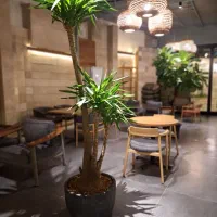 استخدام نیروی کافه رستوران