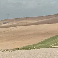 فروش دیم با خاک عالی