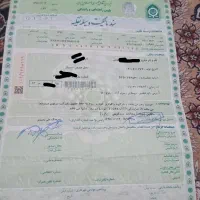 فروش زامیاد 96لزینگی